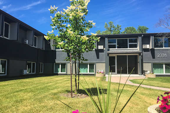 A tree with white flowers is in the foreground of a building with the number 2381 on it.