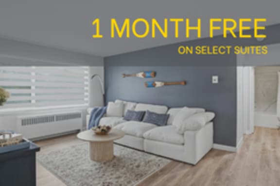 A living room with a sofa, coffee table, and a wall with a hammer and a screwdriver on it.