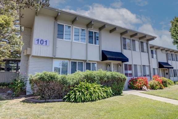Green Background with large trees at Terra Linda Manor, San Rafael, CA, 94903