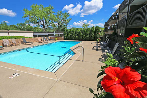 A pool surrounded by chairs and trees.
