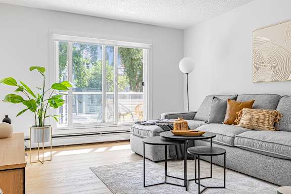 A living room with a grey couch, a wooden table, and a potted plant.