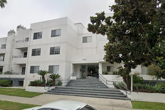 A white building with a tree in front of it.