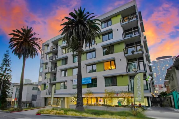 a building with two palm trees in front of it at sunset