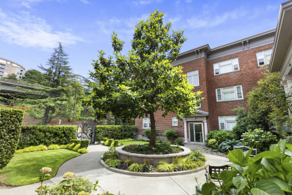 a courtyard with a tree in the middle and a brick building in the background at Carolina Court Apartment Homes, Seattle