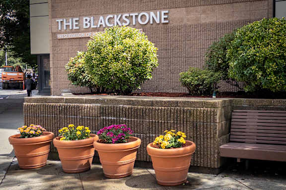 The Blackstone building is surrounded by potted plants and flowers.