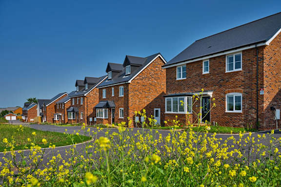 a row of red brick houses in front of a field of yellow flowers
