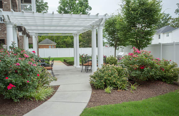 A white pergola is over a walkway in a garden.