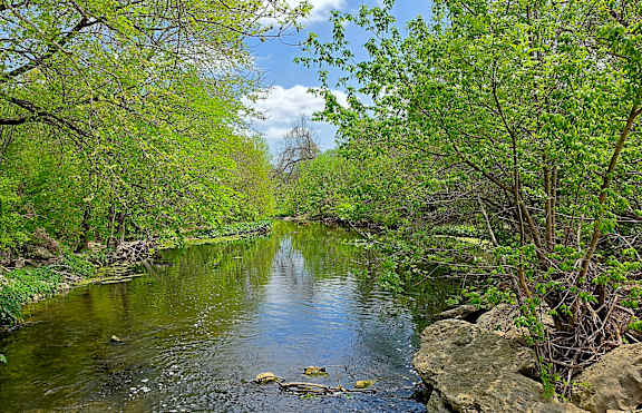 A river flows through a forest with rocks in the water.