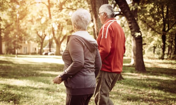 an older couple taking a walk in a park