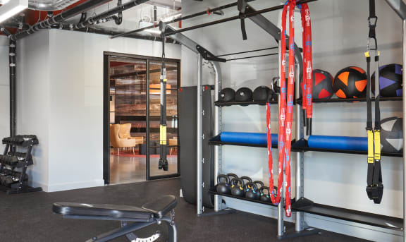 Modern, clean fitness center with dumbell rack, battle ropes, TRX straps, weighted balls, and other equipment