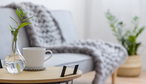 a living room with a couch and a coffee table with a vase with a plant on
