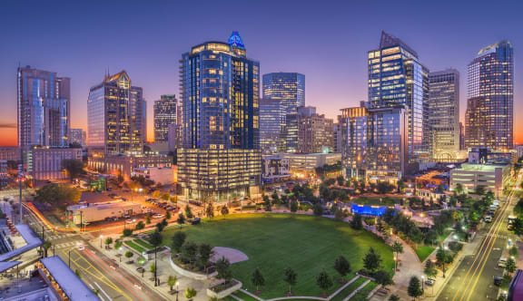 a night view of a park and a city skyline