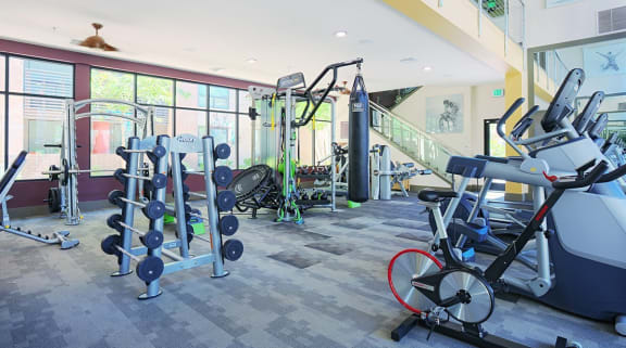 A gym with a variety of equipment including weights, a treadmill, and a stationary bike at Audere Apartments, Arizona