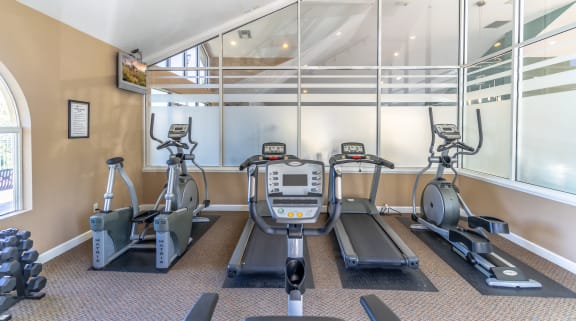 two treadmills and two elliptical machines in the fitness room