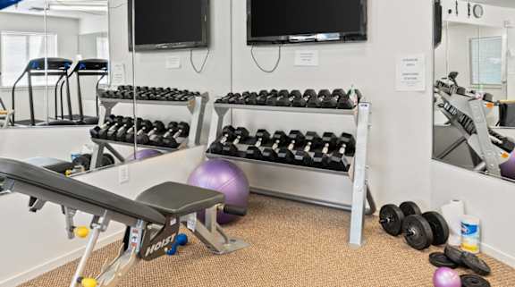 A gym room with a bench, dumbbells, and mirrors.