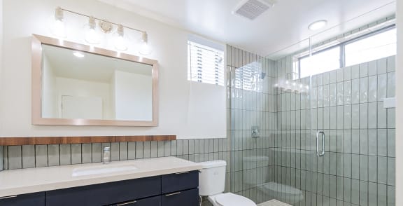 a bathroom with a shower and a sink and a toilet