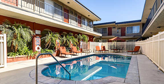 A pool surrounded by chairs and palm trees.