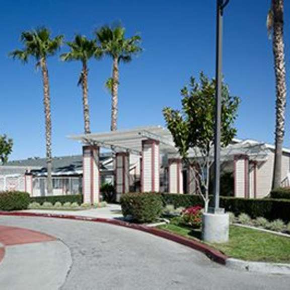 a row of palm trees line a walkway in front of a building.