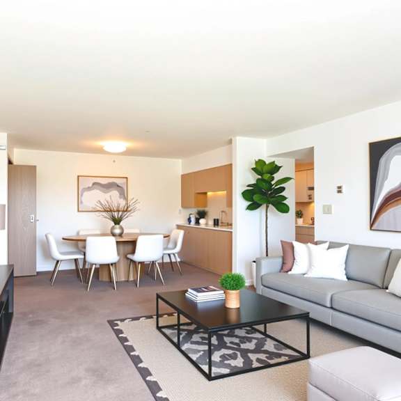 a living room with a grey couch, a coffee table, a dining table with chairs, and a potted plant.
