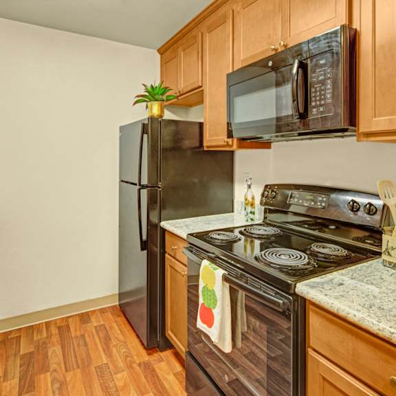 a modern kitchen here at hillside chalet apartments features granite countertops, wooden cabinets, and stainless steel appliances. a green plant and colorful towel add warmth and vibrancy.