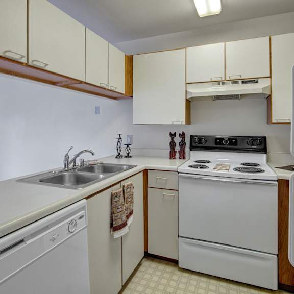 small kitchen here at silver ridge apartments with white cabinets, electric stove, double sink, and dishwasher. the countertop has decorative cat figurines and candles. bright lighting.