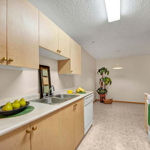 bright kitchen here at edgewood estates apartment homes with light wood cabinets, a double sink, and white appliances. a modern plant, decorative pears, and green accents add freshness.