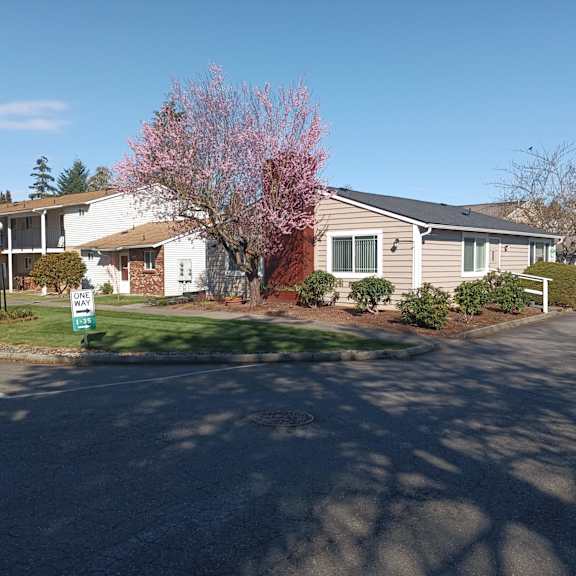 a house with a pink flowering tree in the front yard