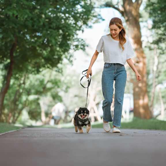 A woman walking her dog in a park.
