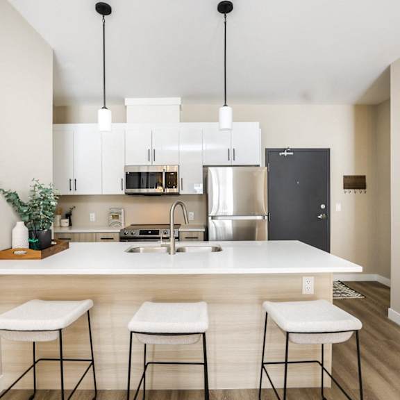 a kitchen with white cabinets and a white countertop with a plant on it.