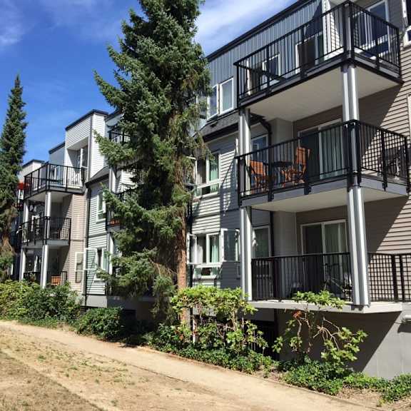 a row of apartment buildings on a sunny day with a dirt path in front of them