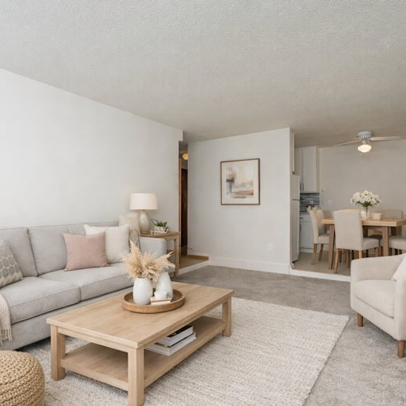 a living room with a grey couch, a wooden coffee table, and a white rug.