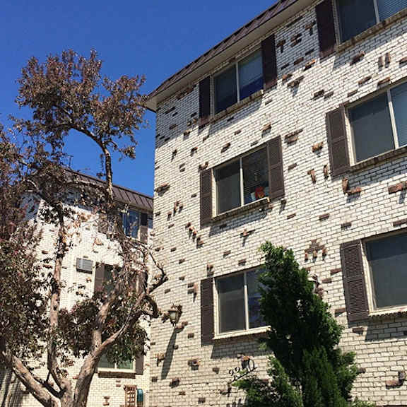 a tree is in front of a building with many windows.