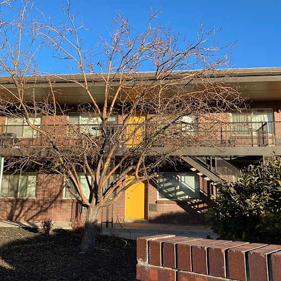 a tree in front of a building with yellow doors.