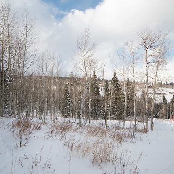 a snowy landscape with a building in the background.