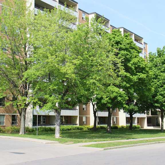 a tree in front of a building.