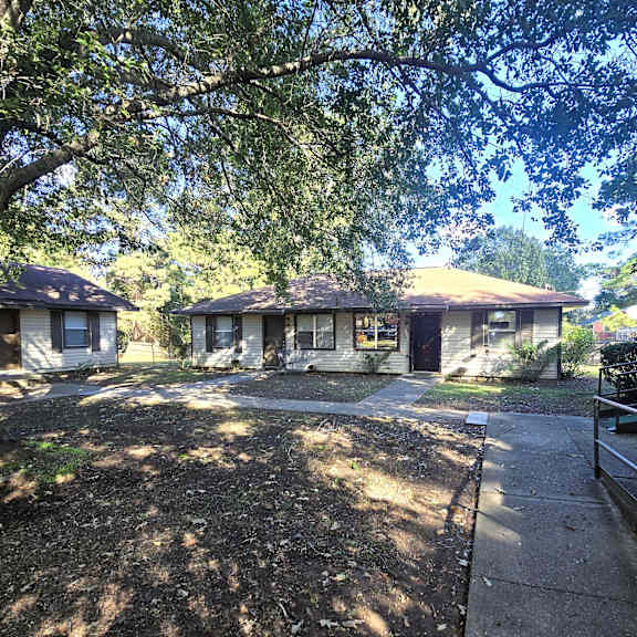 a tree is in front of a house.