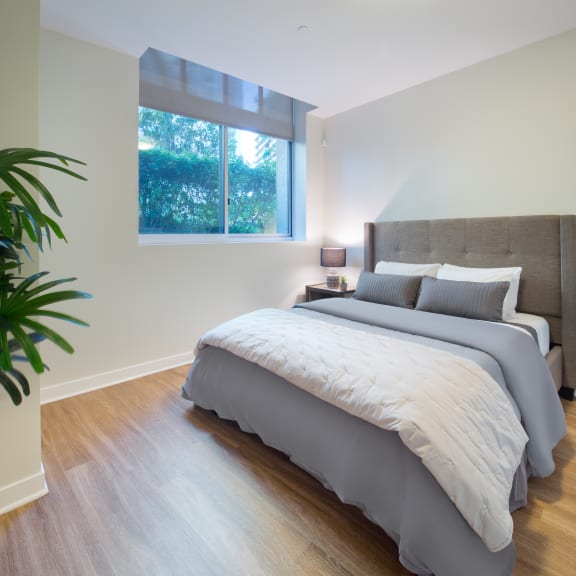 Wilshire Margot Apartments in Los Angeles, CA RENTCafe