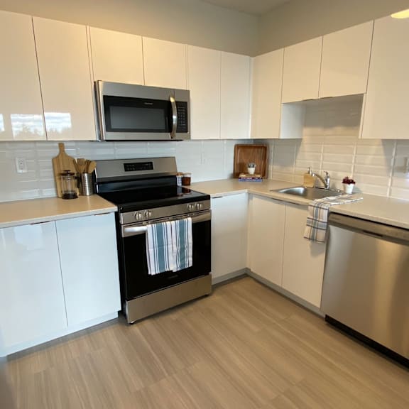 19 plateau crescent kitchen