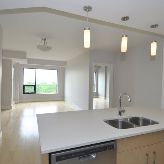 a kitchen with a sink, dishwasher, and a window.