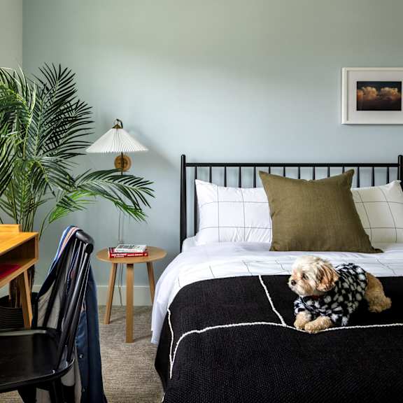 A dog wearing a sweater is sitting on a bed in a bedroom.
