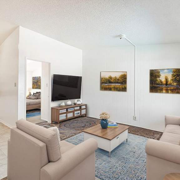 a living room with a couch, a coffee table, and a television.