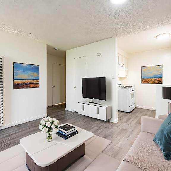 a living room with a couch, a coffee table, and a television.