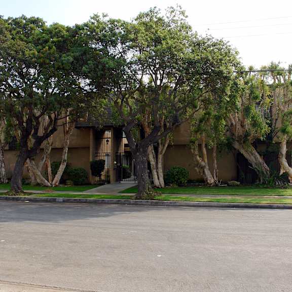 a tree-lined street in front of a building.
