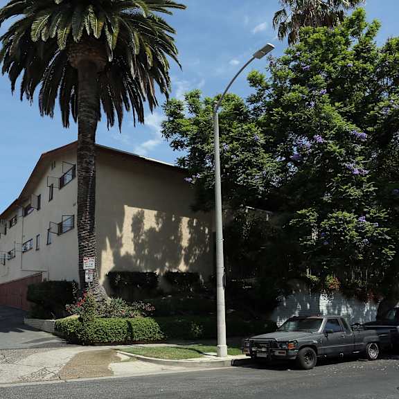 a palm tree stands in front of a tan building with a black truck parked in front of it.