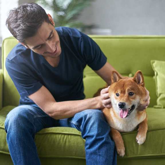 A man is petting a happy dog on a green couch.