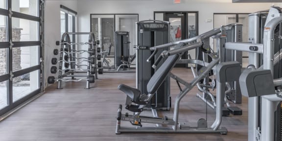 Gym with Weights at AVILA  Luxury Apartments in Oviedo, FL, 32765