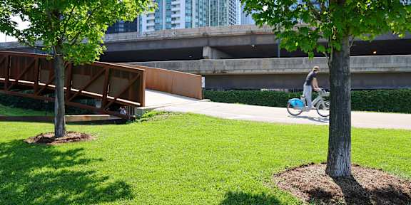 A person riding a bicycle under a tree in a park.