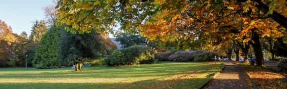 a path in a park with trees and grass at Countryside River Apartments, Wilmington, IL, 60402