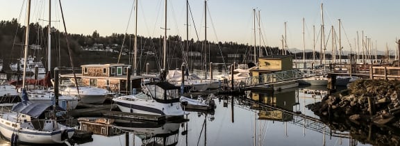 a marina filled with lots of boats, tree line in the background at Capitol Crossing, Olympia, 98501