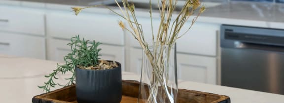 a cutting board with a plant and a vase on a kitchen counter
